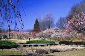 公園