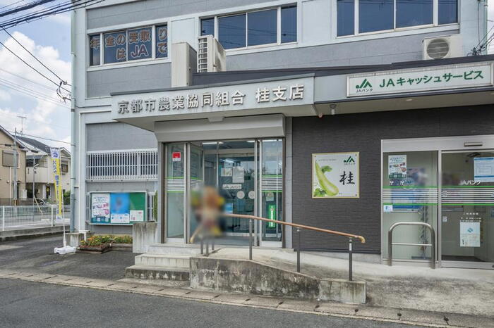周辺環境