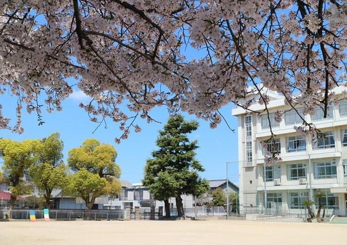 小学校