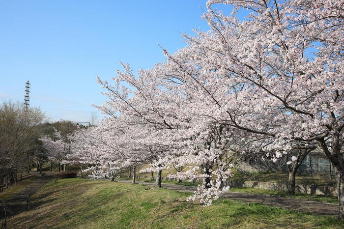 周辺の街並み