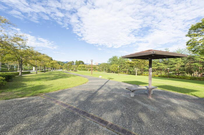 公園