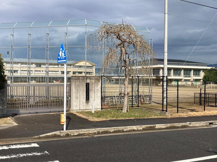 小学校