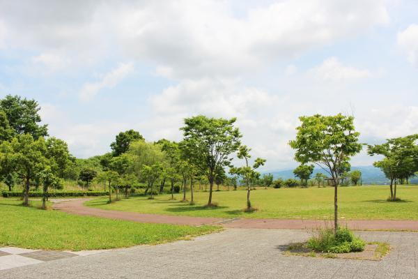 公園