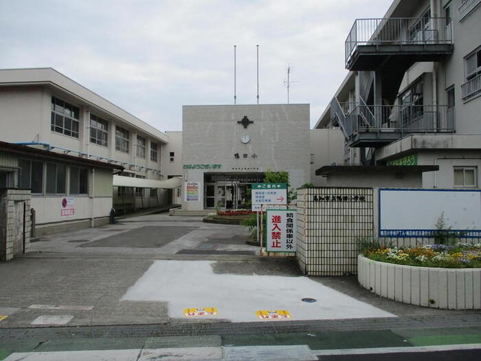 小学校