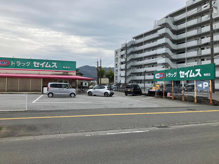 ドラッグストア