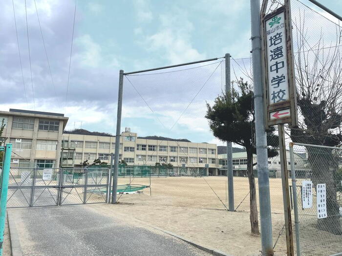 中学校