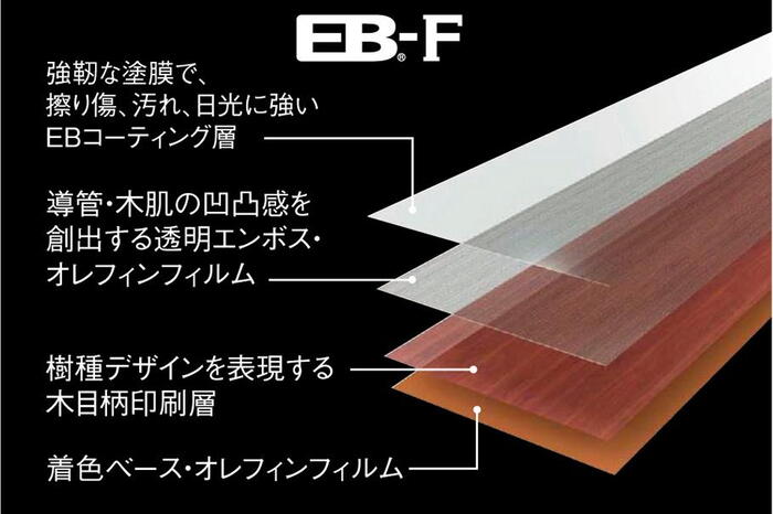室内・設備