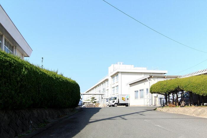 小学校