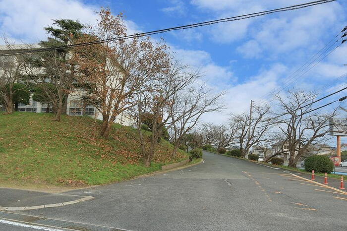 中学校