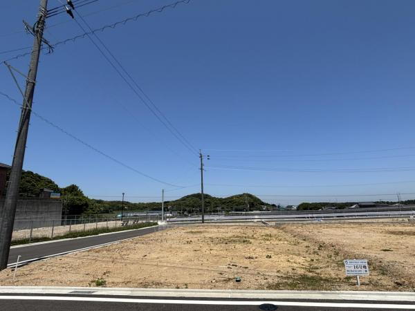 16号地（2025年6月撮影）