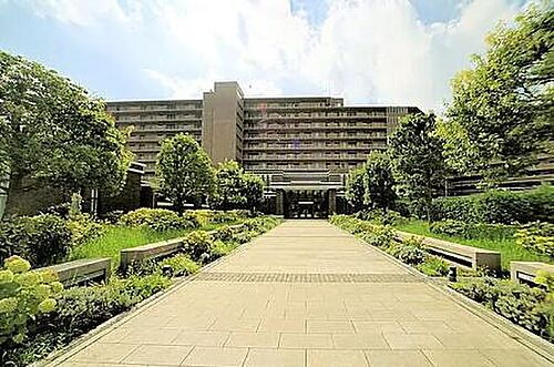 ユニヴェルシオール学園の丘