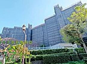 エバーグリーンポートタウン１１号棟Ｂ