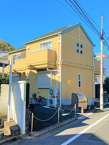 ステラ