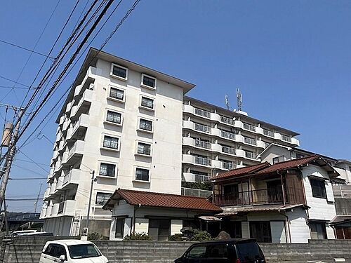 フジエホワイトローザ熊谷