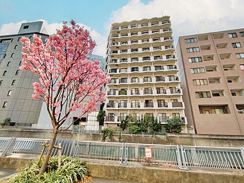 パーク・ノヴァ横浜・参番館