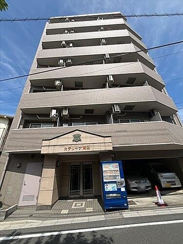 カテリーナ馬込