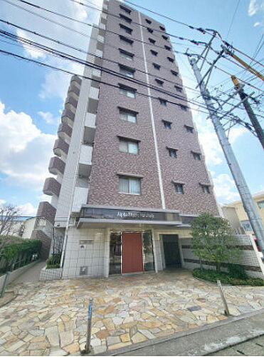 アルファステイツ花畑