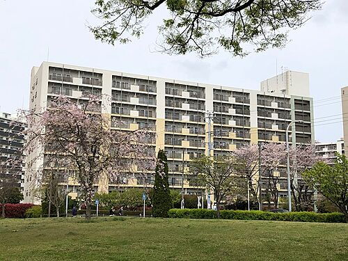 市ドリームハイツ