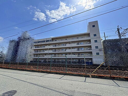 マンションラージ