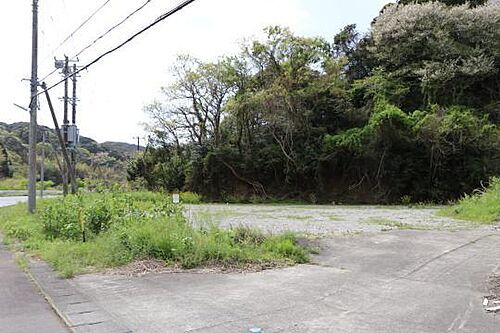 静岡県賀茂郡南伊豆町蝶ケ野 伊豆急下田 土地