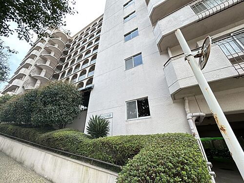 エクセレンス谷