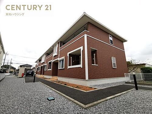 サンシャイン　サンフラワー