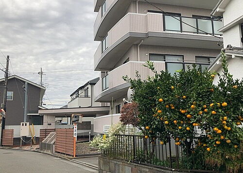 南町田グランベリーパーク