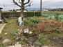 桑原町大須１（新羽島駅）　６８０万円 南側に家庭菜園におすすめの広い庭があります。<BR>現地（2022年3月）撮影