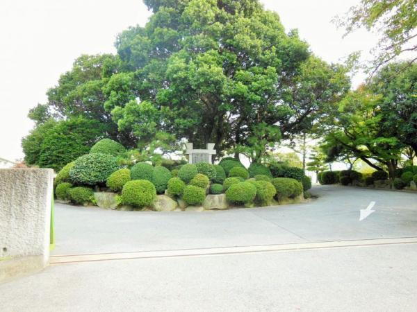 detached 井田町字稲場