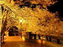 西熱海町２（来宮駅）　２億５０００万円 夜桜が大変キレイです