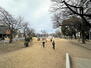 大阪府大阪市平野区平野上町２丁目 杭全公園まで250m 徒歩4分。お子様が放課後や休日に気軽に遊びに出掛けられる距離。すべり台付きの複合遊具や鉄棒、砂場、電車型トンネルなどがあり、お子様が楽しく遊べる公園です。