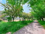 アイワホーム　吹田市　吹東町 川園公園まで400m 緑道が爽やかで春には桜が楽しめます。