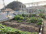 高尾台２（月見山駅）　１９８０万円 家庭菜園・庭木（レモン、ぶどう、柿、ゆず、いちじく、梅等）がございます