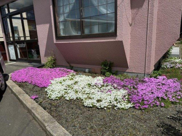 北海道釧路市鶴野東４ 550万円