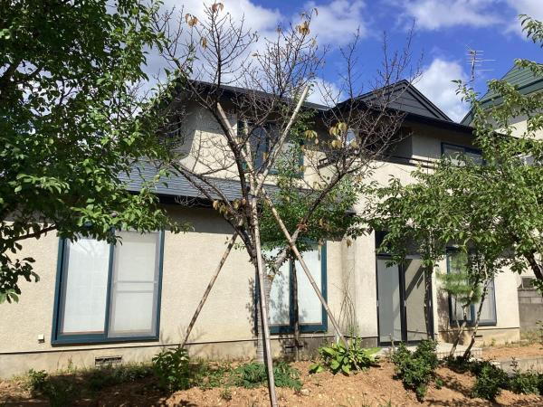 青森県青森市赤坂２ 1200万円