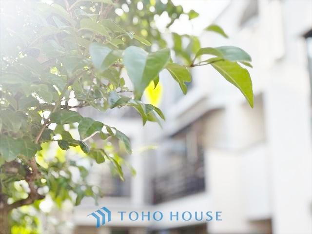 東京都杉並区阿佐谷南３ 中古住宅