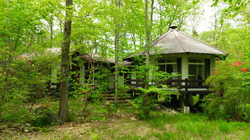 群馬県吾妻郡嬬恋村大字鎌原鬼の泉水 680万円