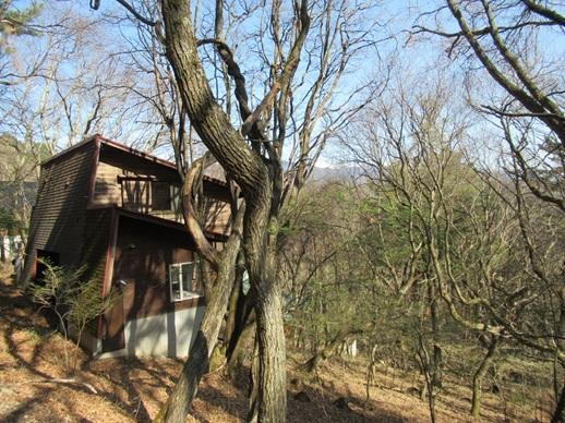 長野県茅野市北山蓼科 450万円