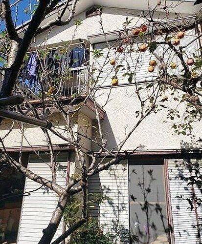 埼玉県八潮市大字新町 3300万円