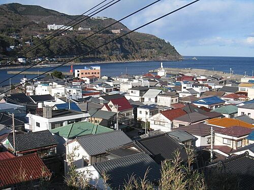 静岡県賀茂郡東伊豆町稲取 460万円