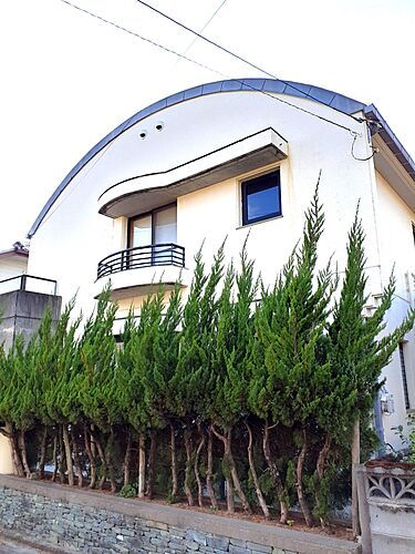 徳島県徳島市川内町鶴島 990万円