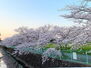 Ｌｅ　ｃｉｅｌ　京田辺市東西神屋 まもなくシーズン♪♪徒歩２分で桜並木、ゆったり散歩やジョギングも♪♪
