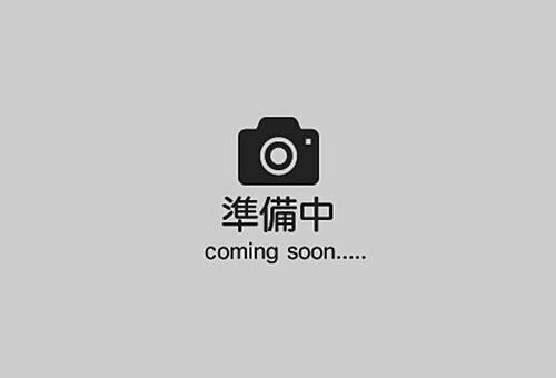 埼玉県飯能市大字岩沢 480万円