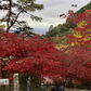 戸建　伊勢原市八幡台