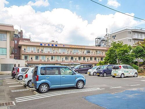 detached 大字下鹿山