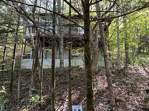 長野県北佐久郡軽井沢町大字発地 398万円
