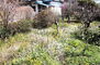 沼津市足高　優美な風情が感じられる良質な平家建て 広々としたお庭付き。お子様が遊ぶスペースとしても、趣味の園芸などにも利用できます！