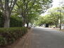 ビクトリアアネーロ大宮 三橋総合公園です。犬の散歩コースに。アスレチック、プール、テニスコートなどが揃っています。