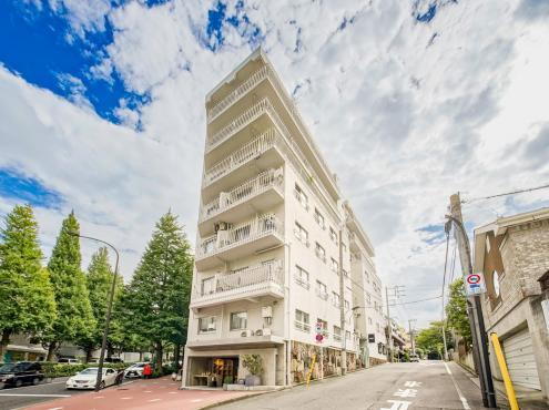 マンション白金苑 3階 1LDK