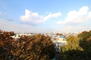 グローリオ蘆花公園テラス棟 バルコニーからの眺望<BR>緑と調和した心地よい眺望が広がります。